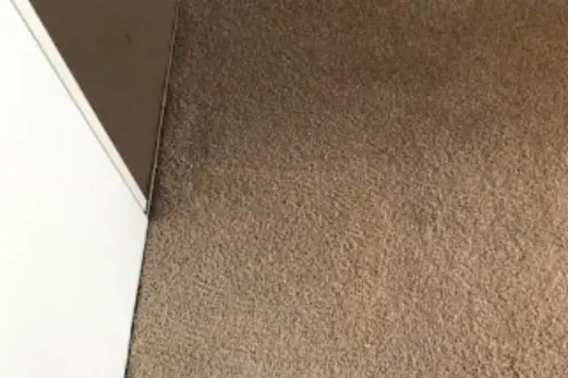Carpet Cleaning in Rowville